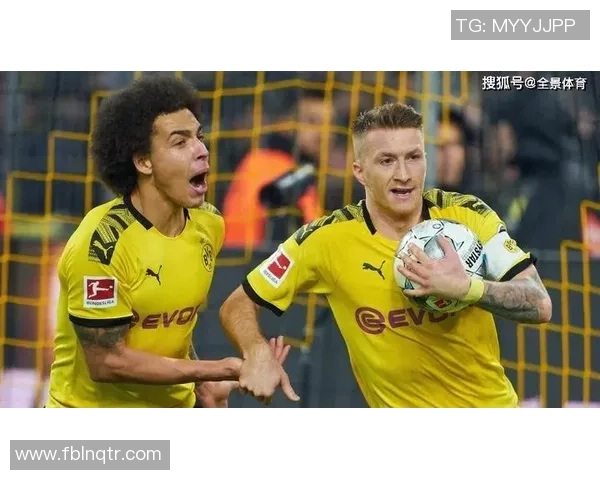 杭州羽毛球队转型之路的挑战与机遇全景探讨